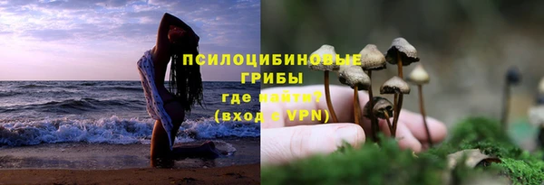хмурый Гусиноозёрск